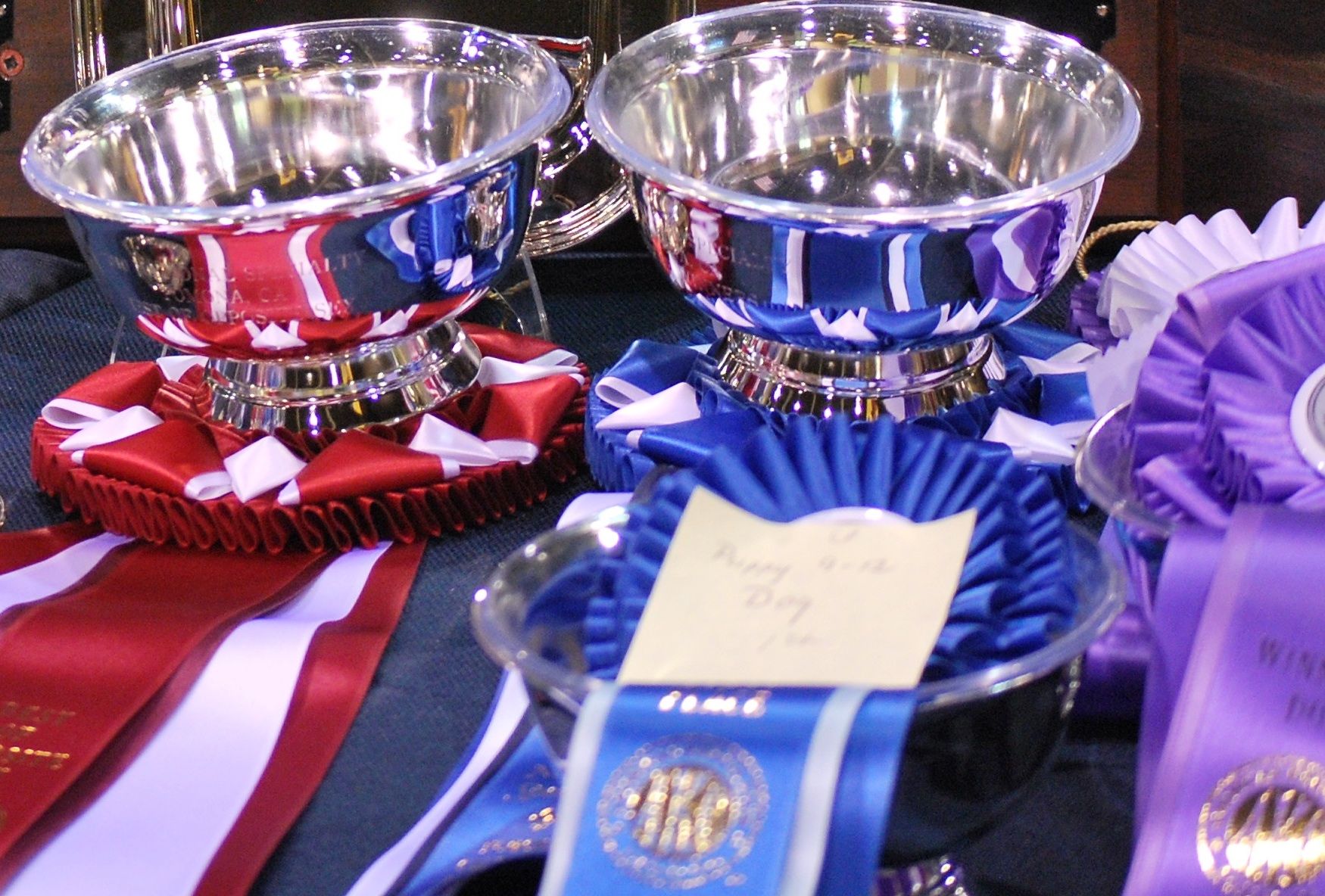 Question of the Week